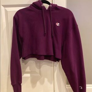 cropped champion hoodie